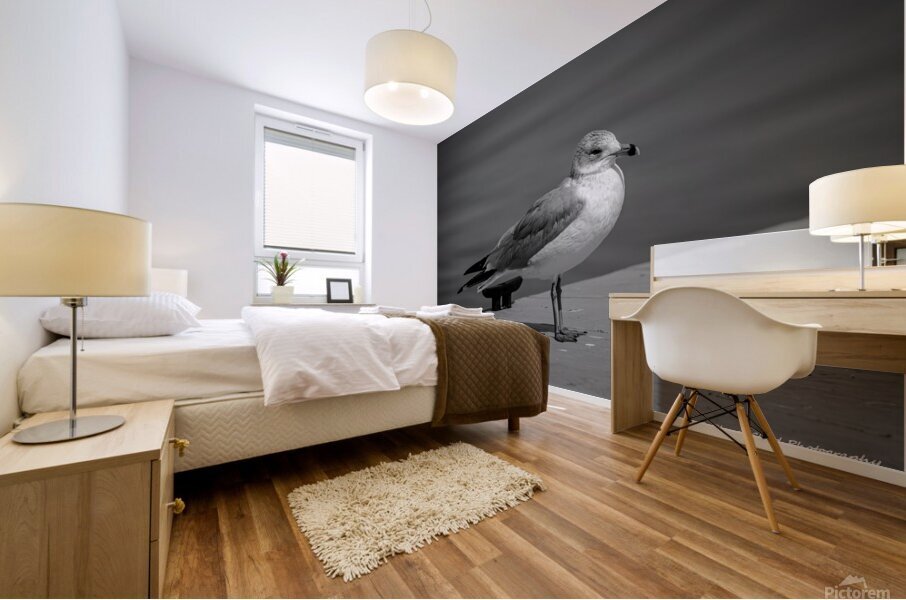Seagull in Black and White Mural print