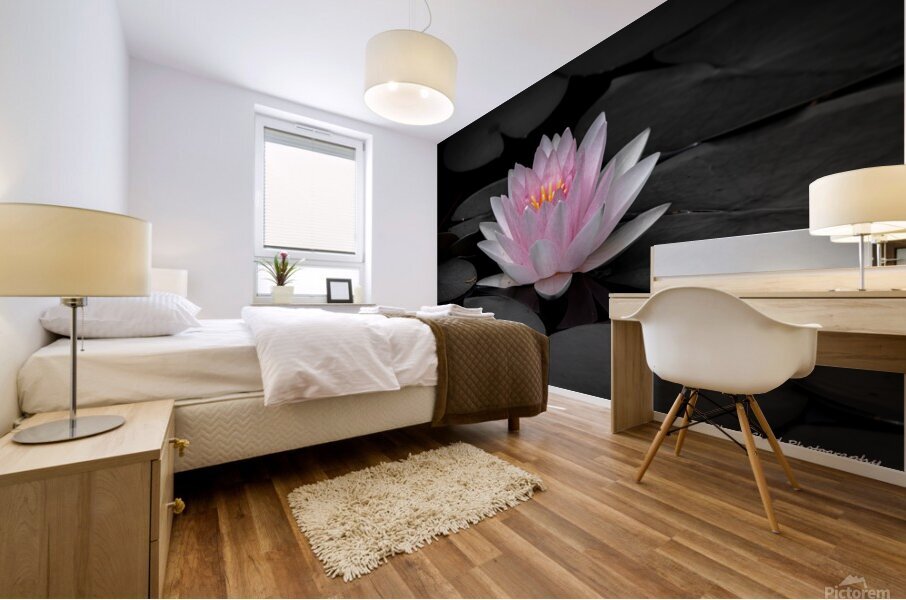 Water Lily - A Touch of Color Mural print