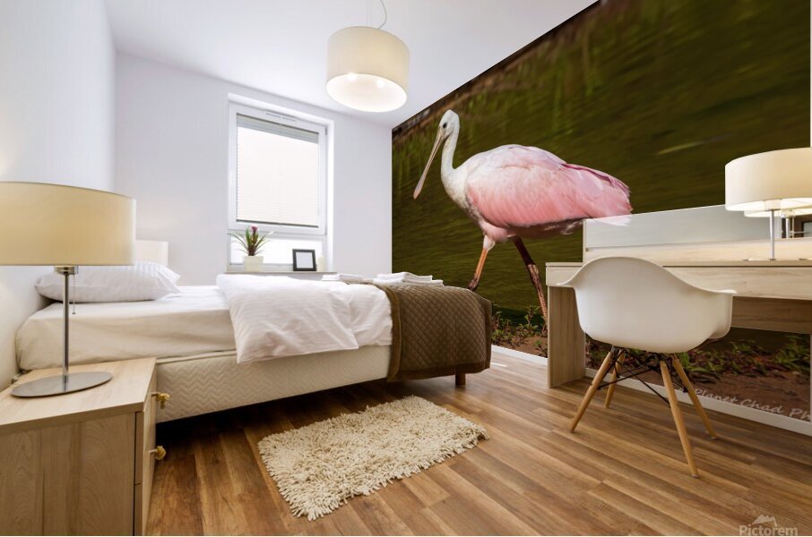 Spoonbill Model Mural print