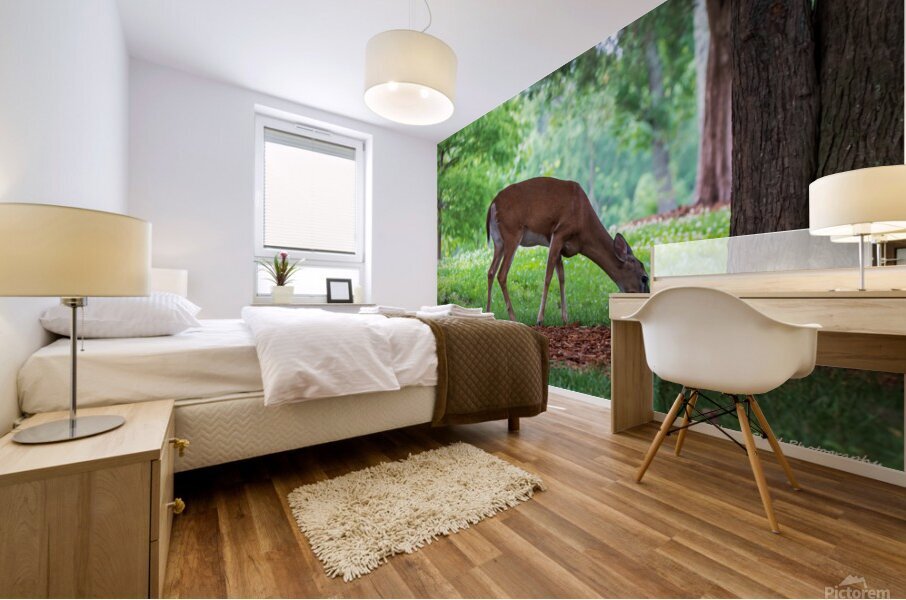 Morning Grazing Mural print