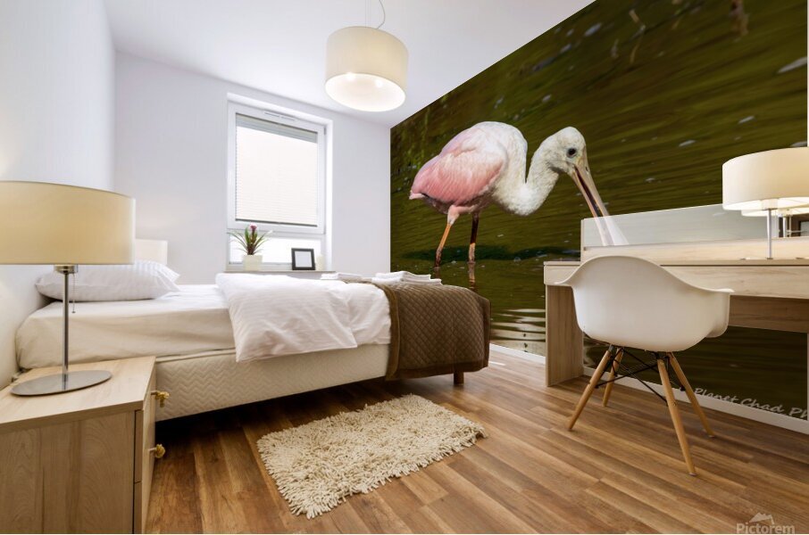 Spoonbill Feeding Mural print
