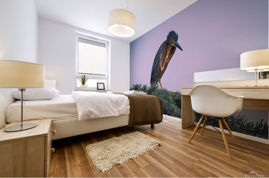 Green Heron - Talk To The Hand Mural print