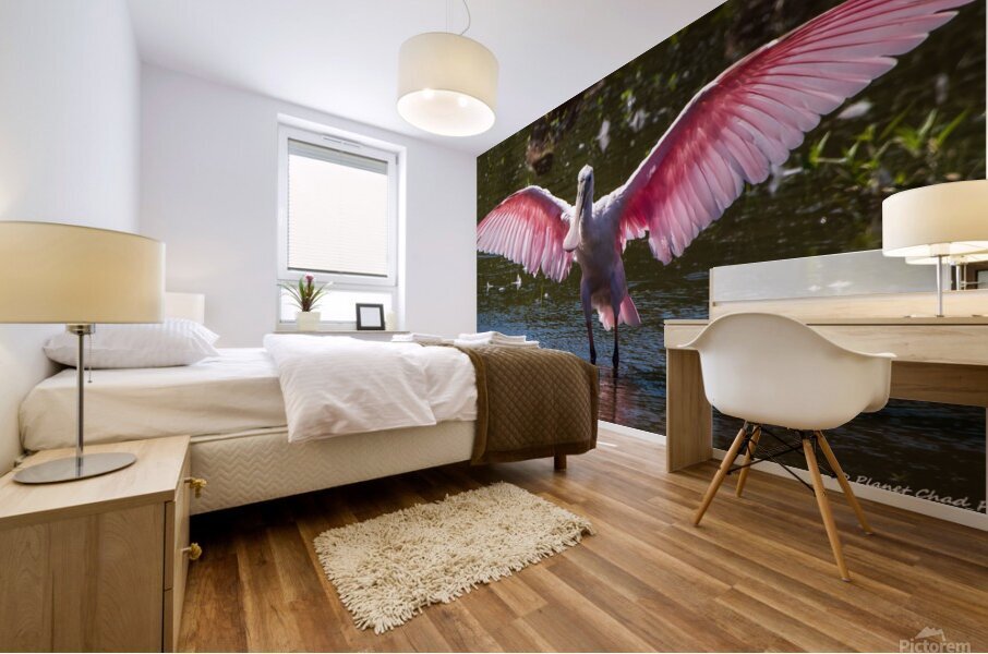Roseate Spoonbill - I Believe I Can Fly Impression murale