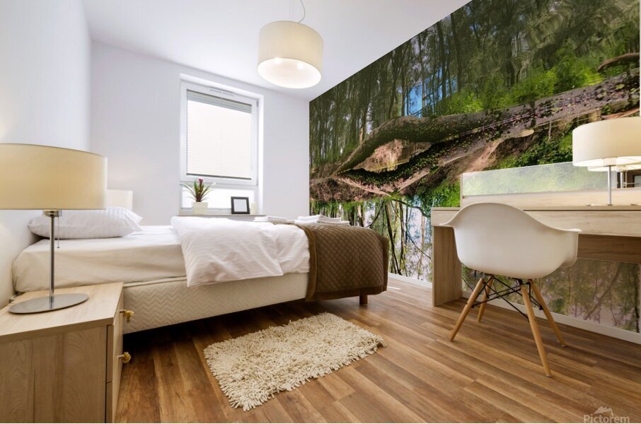 Eye Of Gaia Mural print