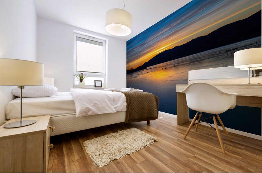 Icy Quannah Parker Lake Mural print