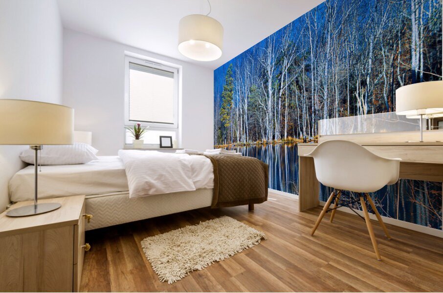 Reflection Mural print