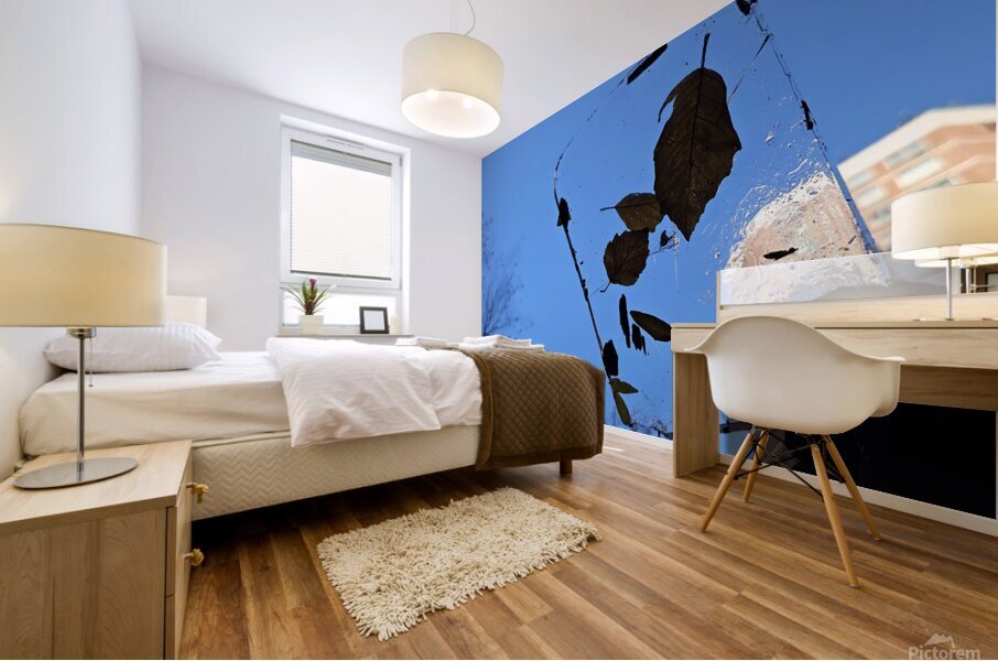 Time froze Mural print