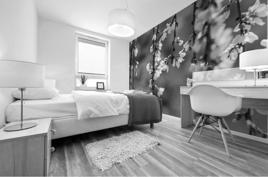 Weeping Cherry Blooms And Branches Grayscale Mural print
