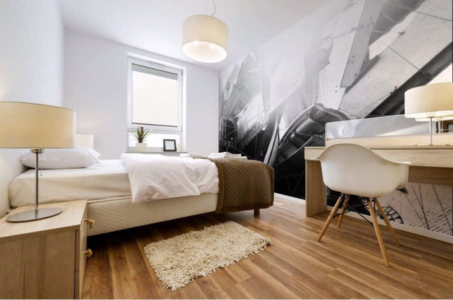 SPACE JUNK I Mural print