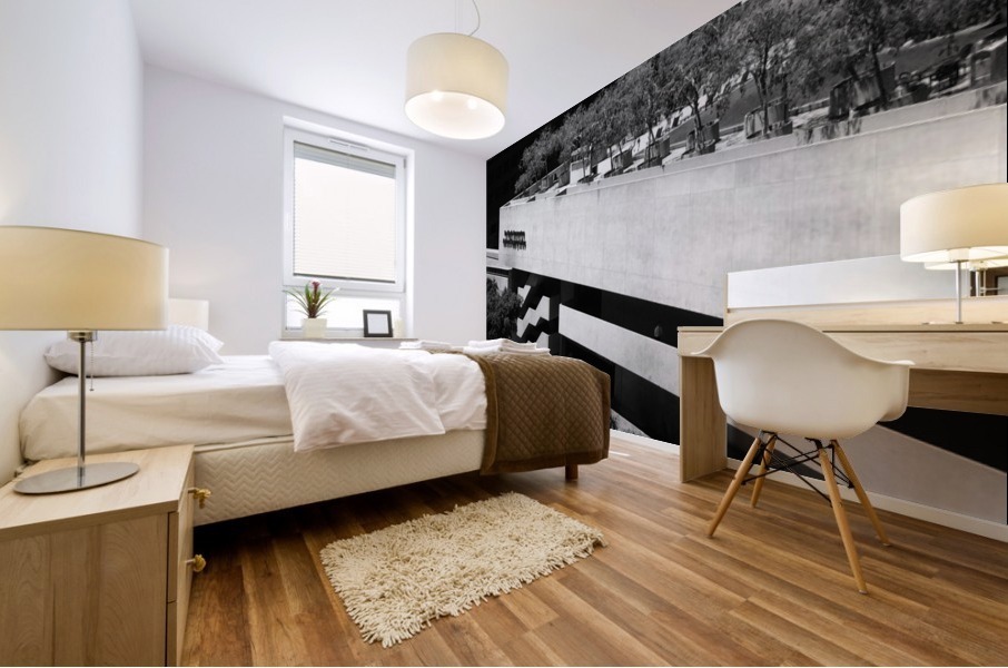 BONNAVENTURE V Mural print