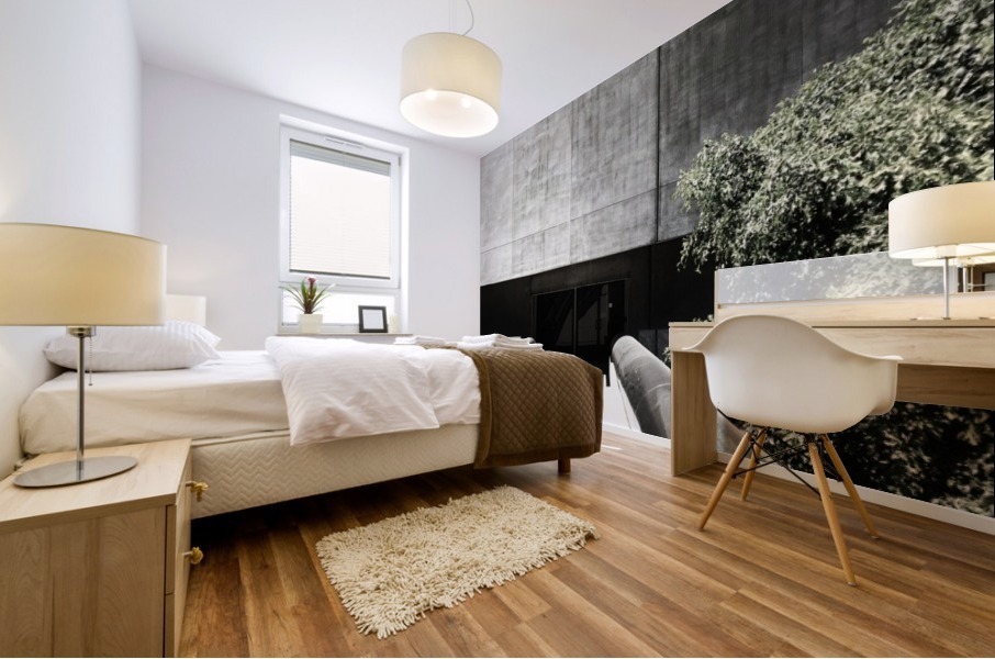 BONNAVENTURE VIII Mural print