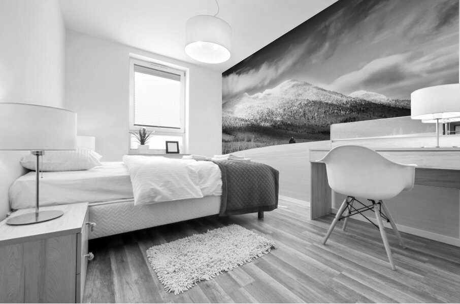 Mont Megantic Mural print