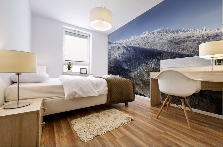 Flanc de montagne Mural print