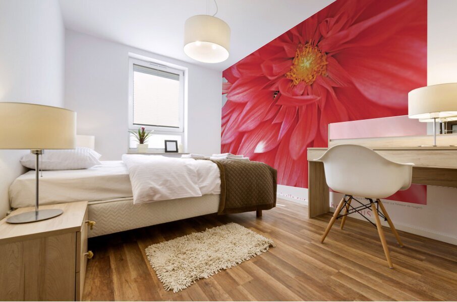 LA SIESTE Mural print