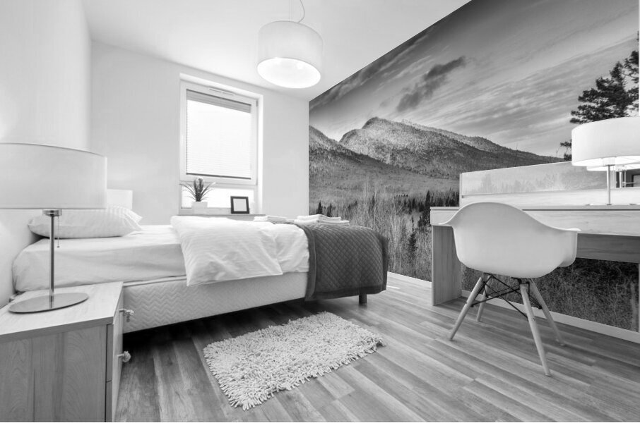 Mont Victoria  Mural print