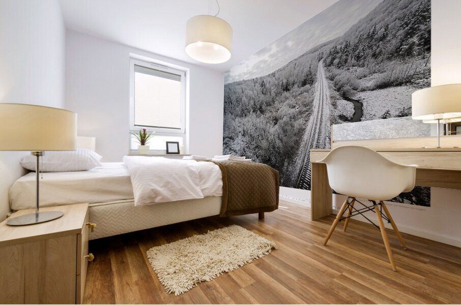 LA VOIE GLACEE Mural print
