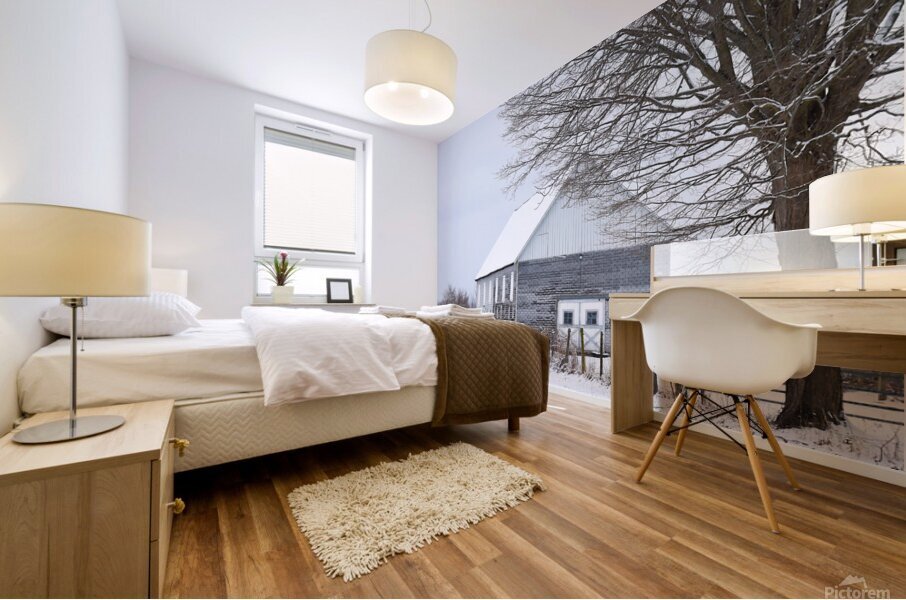 G16 Gray Days of Winter Mural print