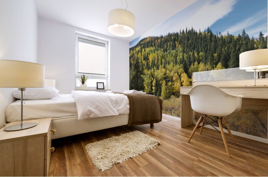 Fall Colors 3 Mural print