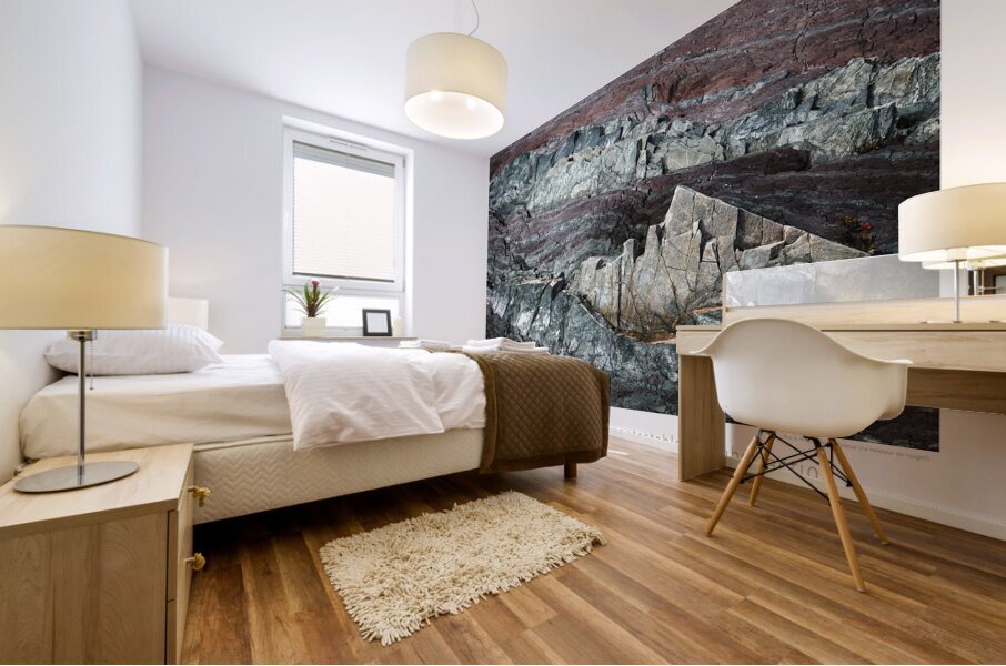 ROCK AND ROCHE Mural print