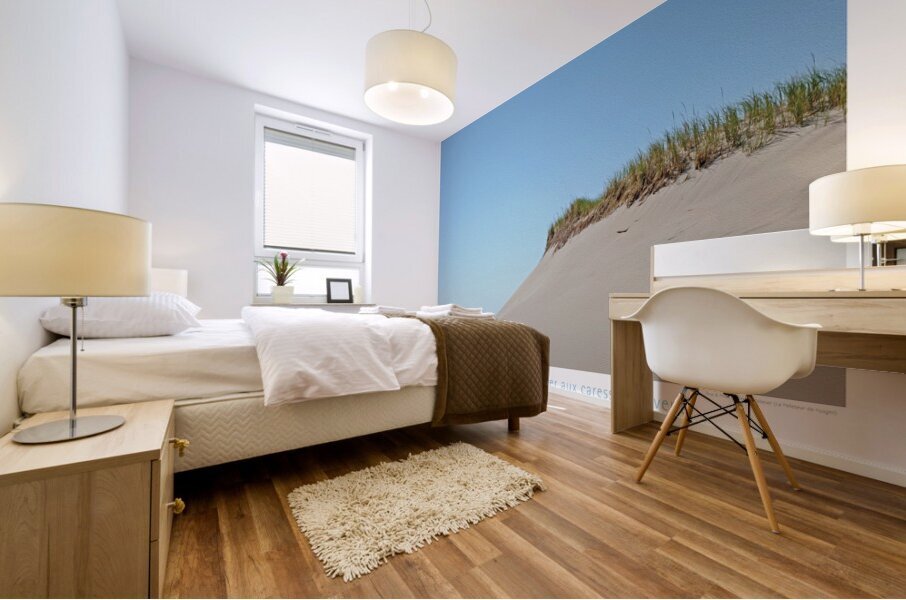 LACHE PRISE Mural print