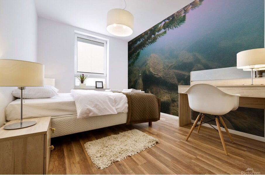 Crouching Whitefish Hidden Bottle Mural print