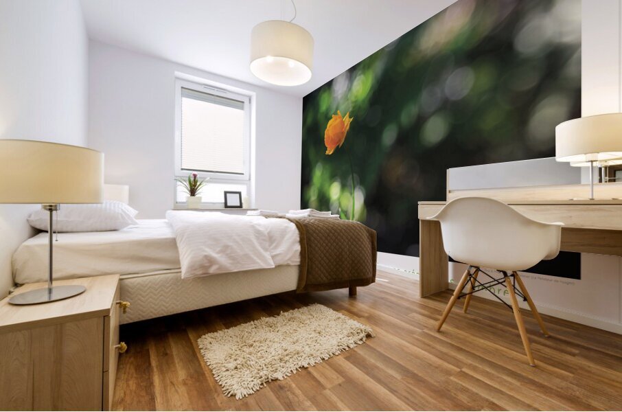 ILLUMINEE Mural print