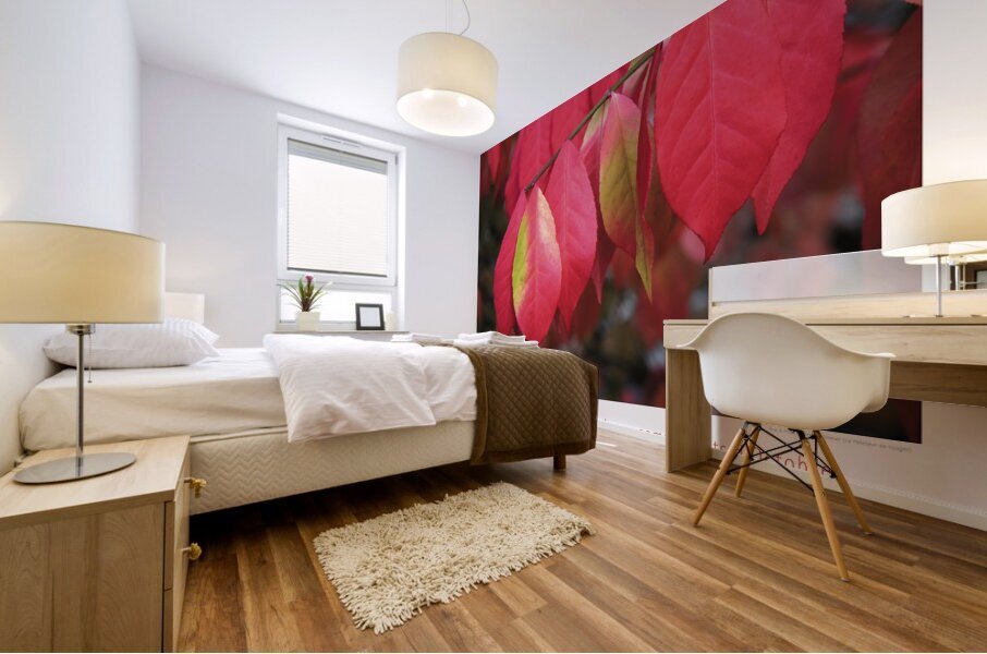 UN ARBRE TIMIDE  Mural print