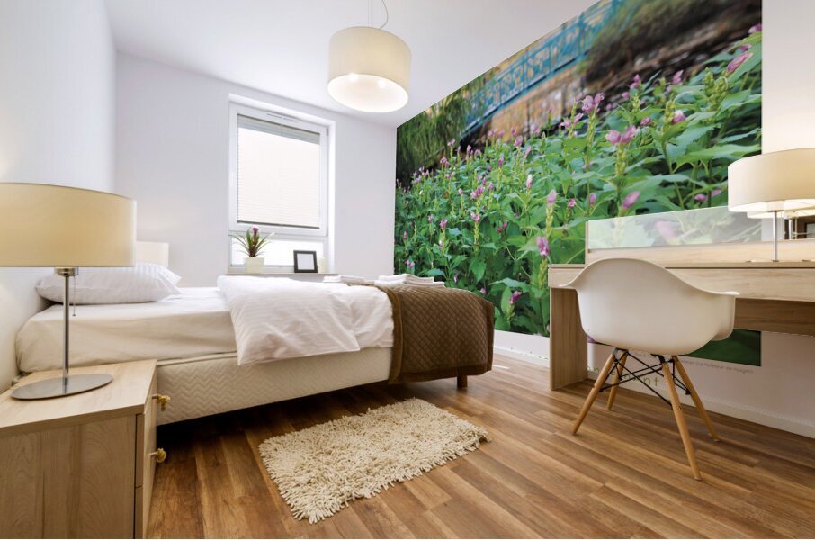A VUE DE NEZ Mural print