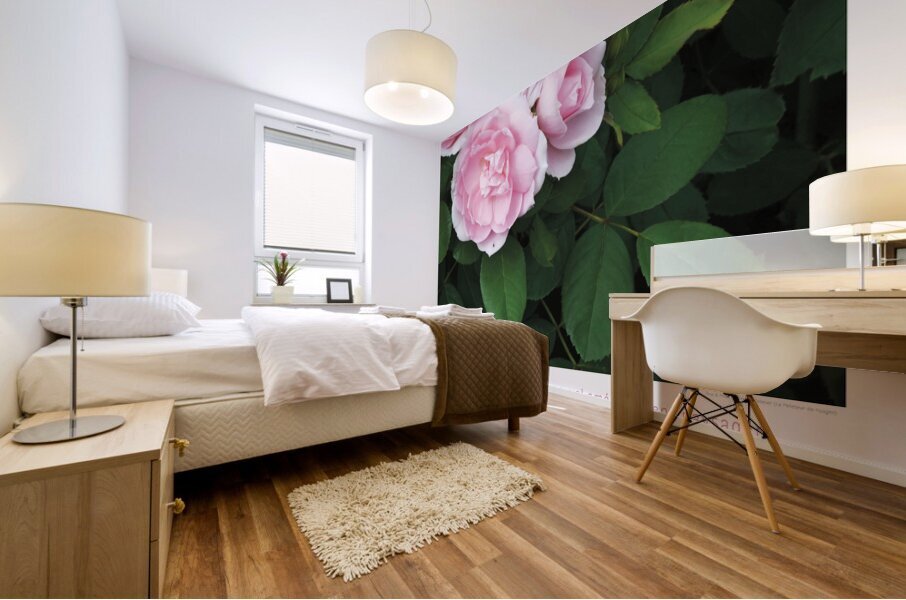 VUE DU BALCON Mural print