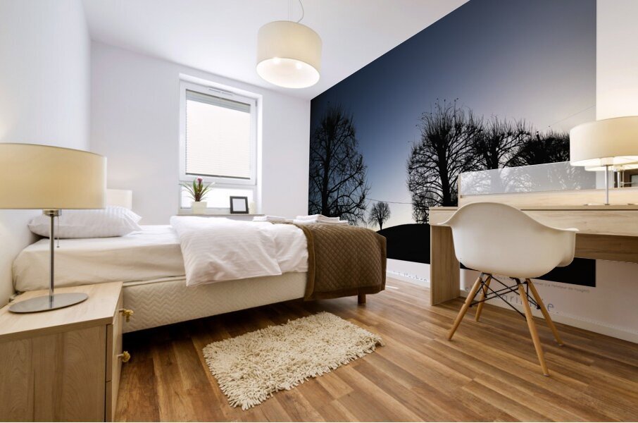 APPORTEZ LA GRANDE ECHELLE Mural print