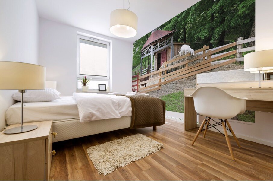 ACROBATE EN HERBE Mural print