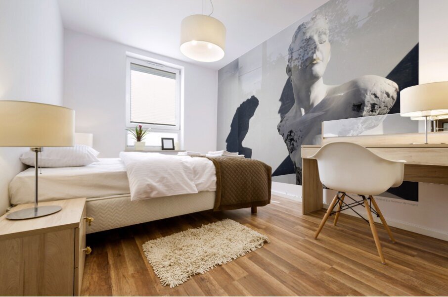 FEINDRE L INDIFFERENCE Mural print