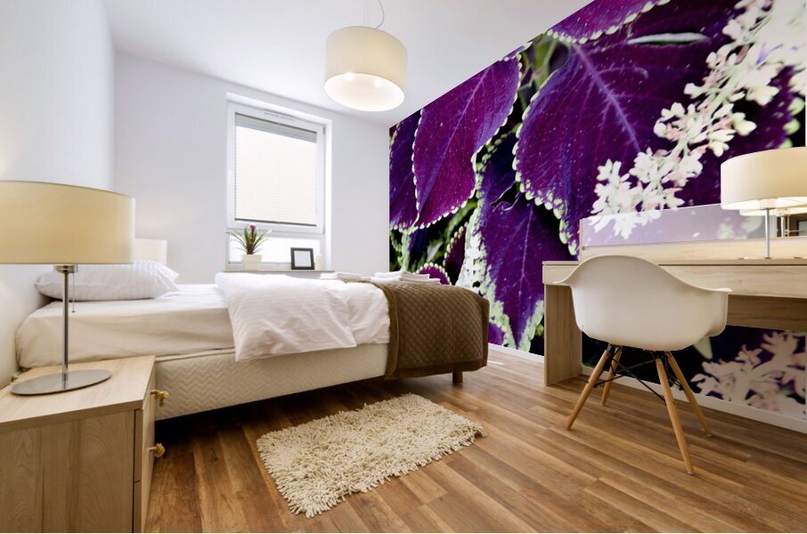 Deep Purple Magic Mural print