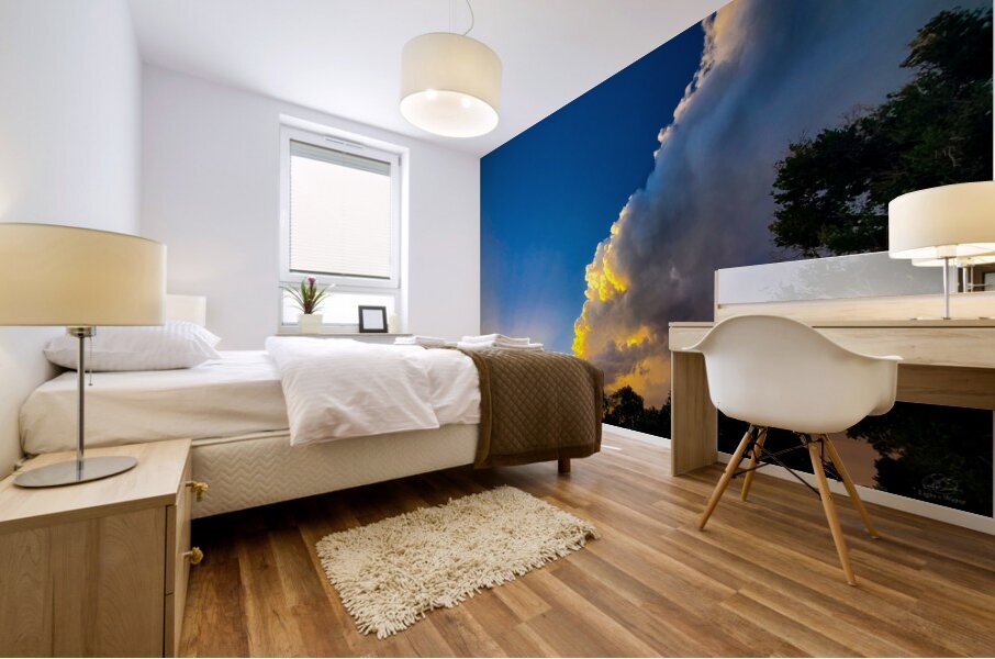 Mid Summer Nights Dream Mural print