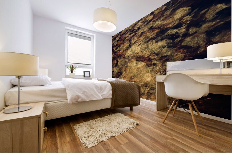 Fire and Water I Mural print