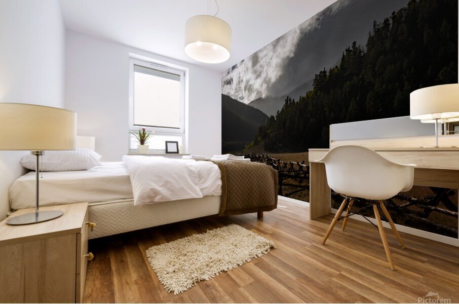 On the Edge of a Storm Mural print