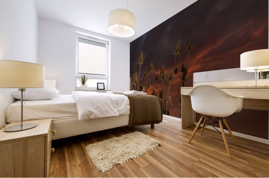 Thistles in a Fire Sky Mural print