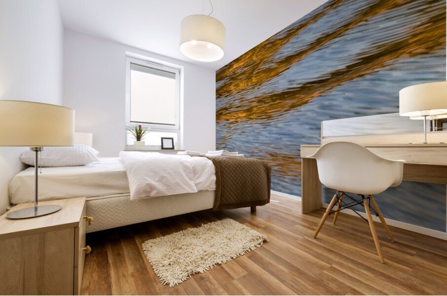 Water Reflections VI Mural print