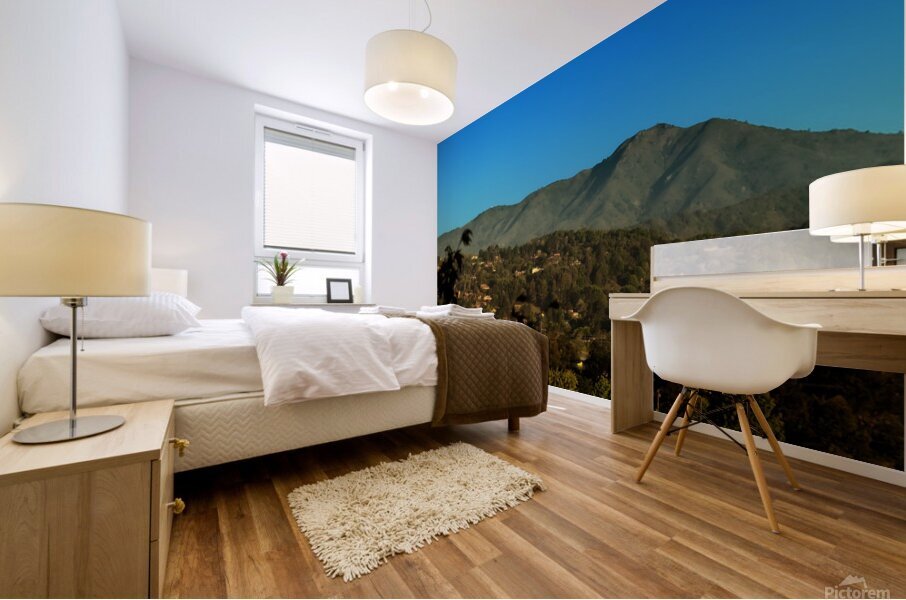 Mt Tam Summer view Mural print
