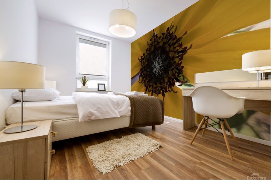 Sunflower  Mural print