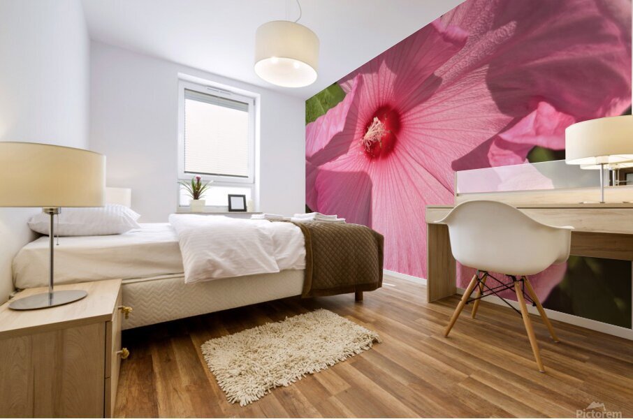 Pretty in pink Mural print