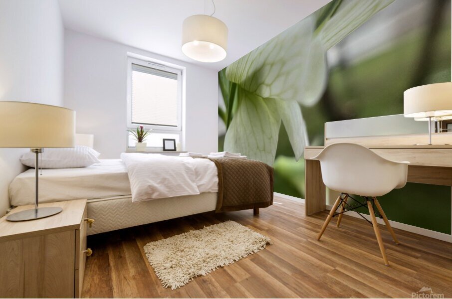 Budding in spring  Mural print