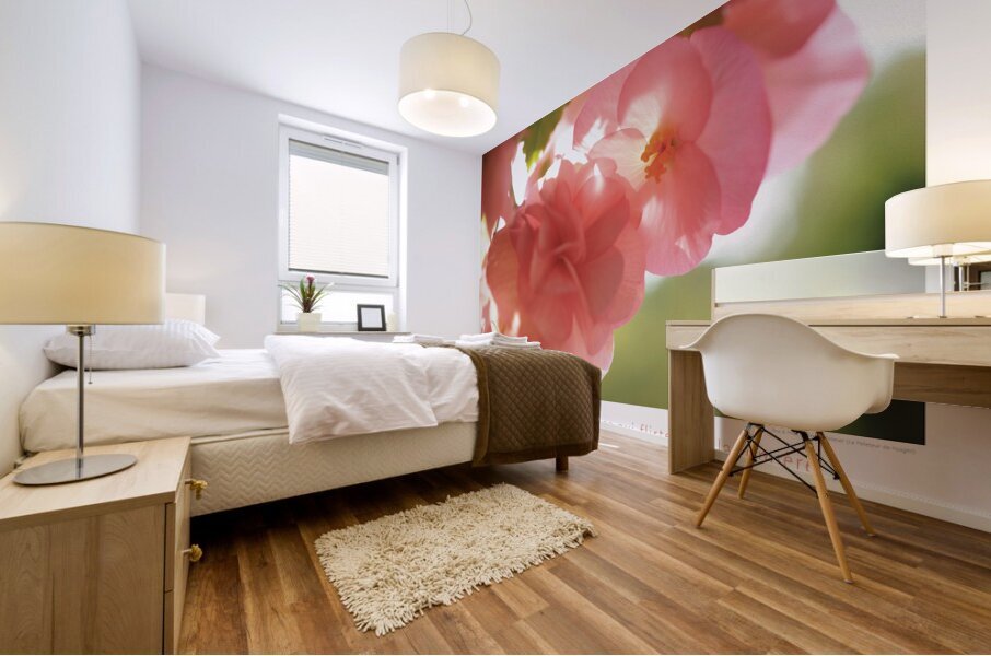 LA TRANSPARENCE Mural print