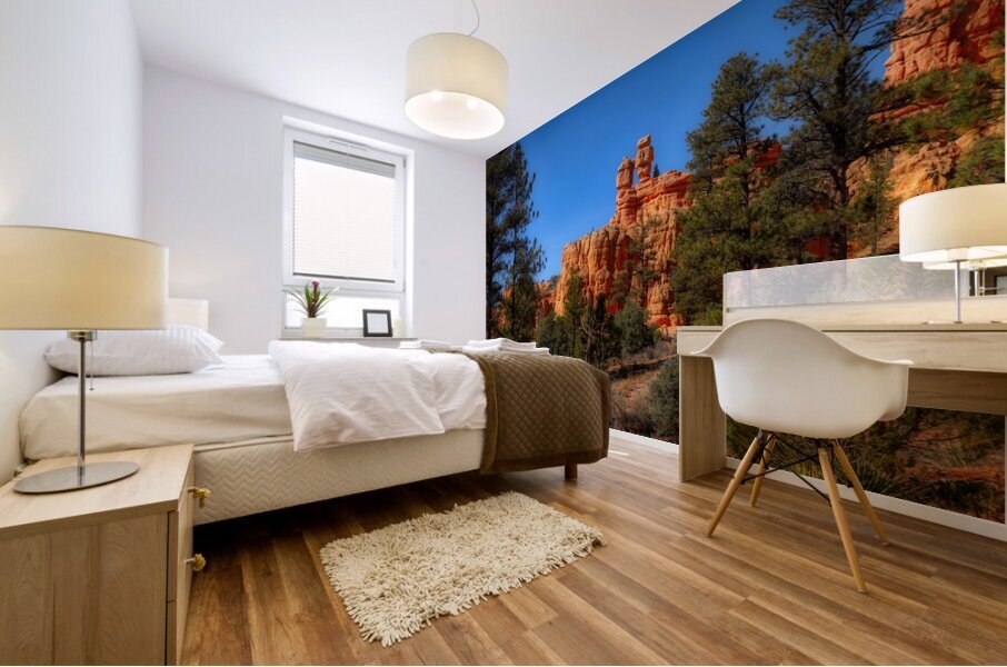 Enchanted Glimpse: The Mystical Charms of Red Canyon Mural print