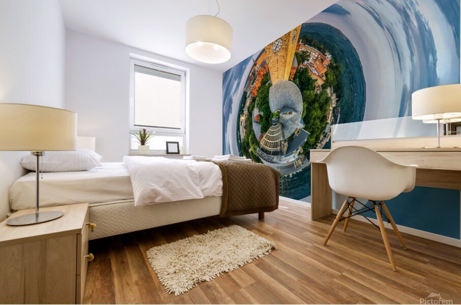 Cornell university fisheye Mural print