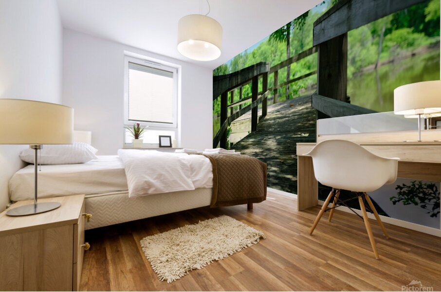 Oxbow Lake 2 - LA Mural print