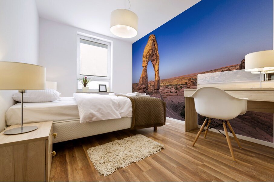 Delicate Arch Morning Mural print
