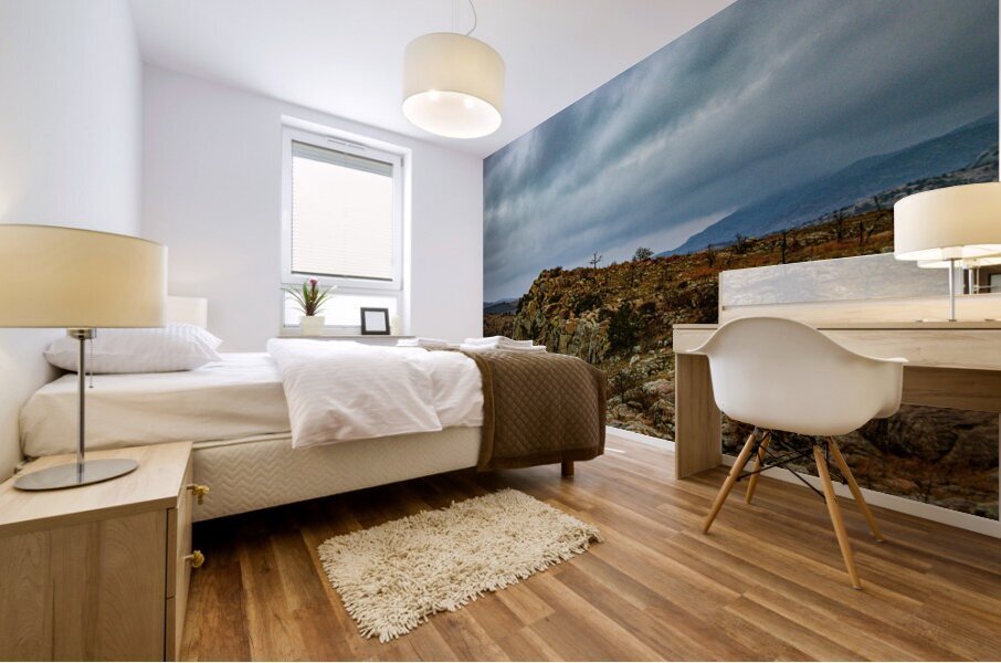 The Pheonix  Mural print