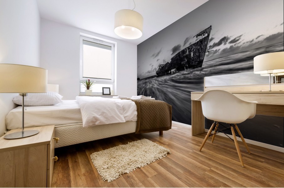 _MG_6888 Mural print