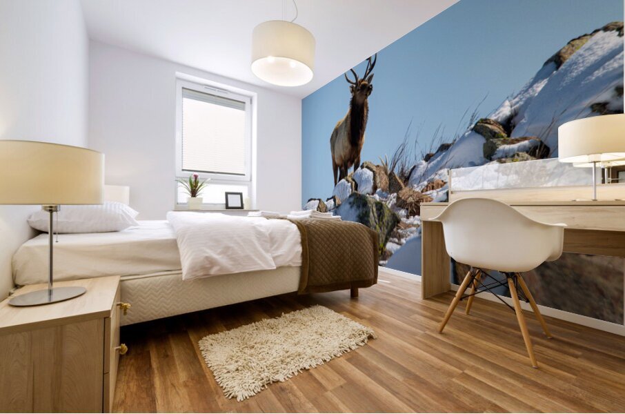 The Overlook Mural print